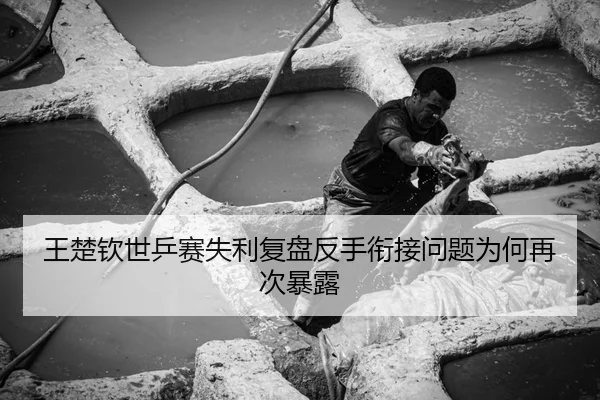 王楚钦世乒赛失利复盘反手衔接问题为何再次暴露