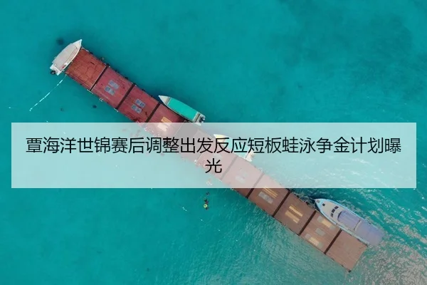 覃海洋世锦赛后调整出发反应短板蛙泳争金计划曝光
